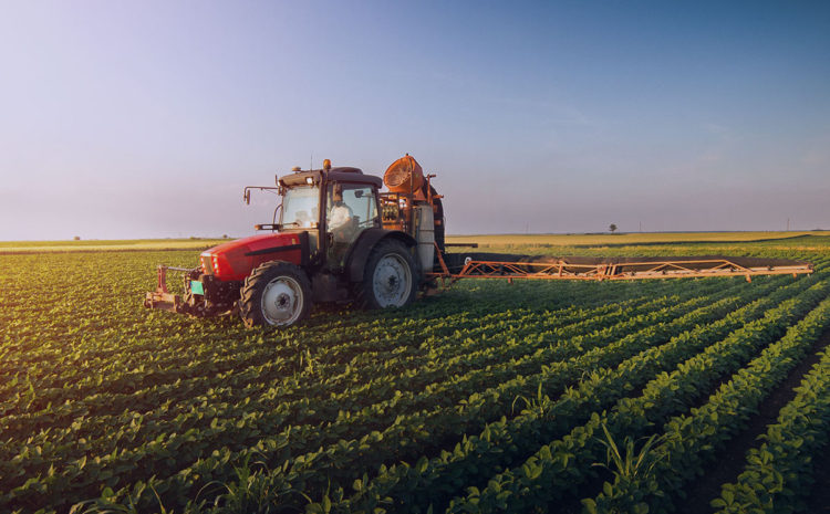  Contabilidade rural: benefícios para pequenos, médios e grandes produtores